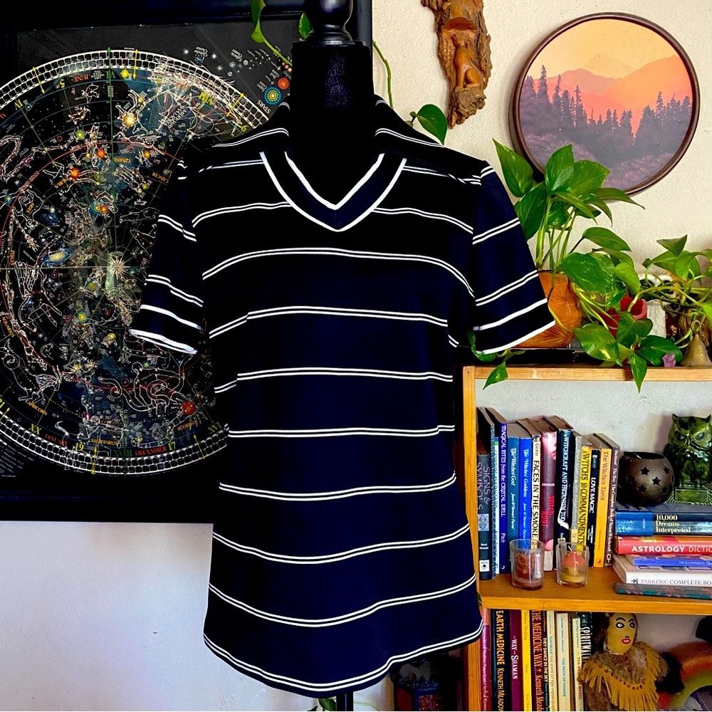VTG Ted Martin Poly Short Sleeved Top. Back Zipper. Pointed Collar. V Neck. M/L